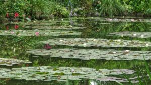 Giverny 2