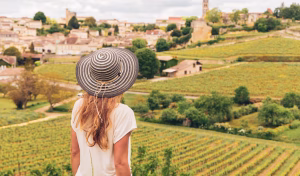 1 Wine Vineyard Bordeaux France Tours