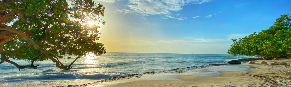 Aruba Beach 3