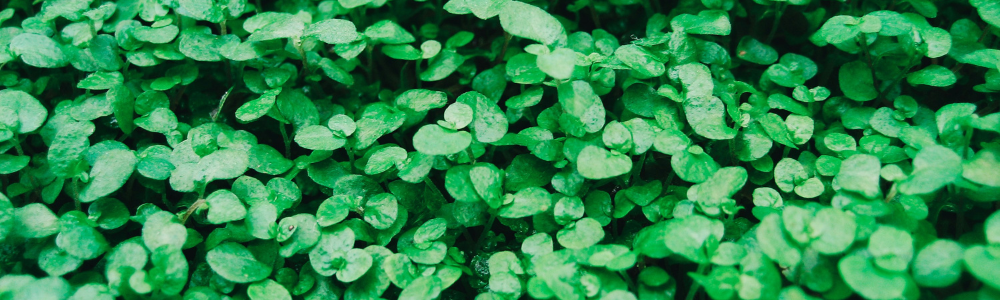 Blog Headers (3)