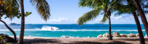 Caribbean Beach