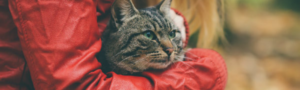 Work Blog Template (9)