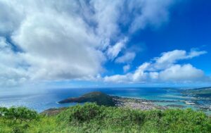 Ava W Dn1cy Oiez4 Unsplash