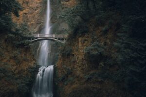 Cristofer Jeschke V1ypvfnzvtw Unsplash