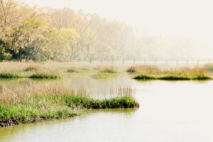 Eric Muhr Brrnjuendla Unsplash