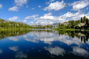 John Jennings Jixipiqjht0 Unsplash