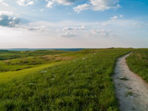 Mary Hammel 28gtzwnfpx4 Unsplash