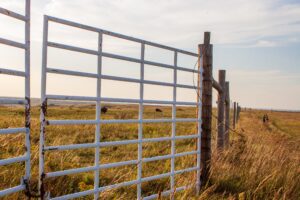 Mary Hammel Riy9ofppvyi Unsplash