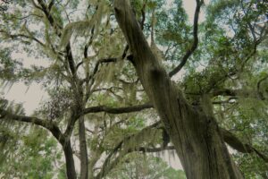 Matt Briney Ki3en2fdjsg Unsplash