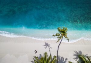 Nattu Adnan Atsuvc1hmwk Unsplash 1