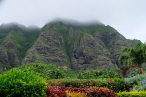 Seth Cottle Rpoqwjoakbi Unsplash